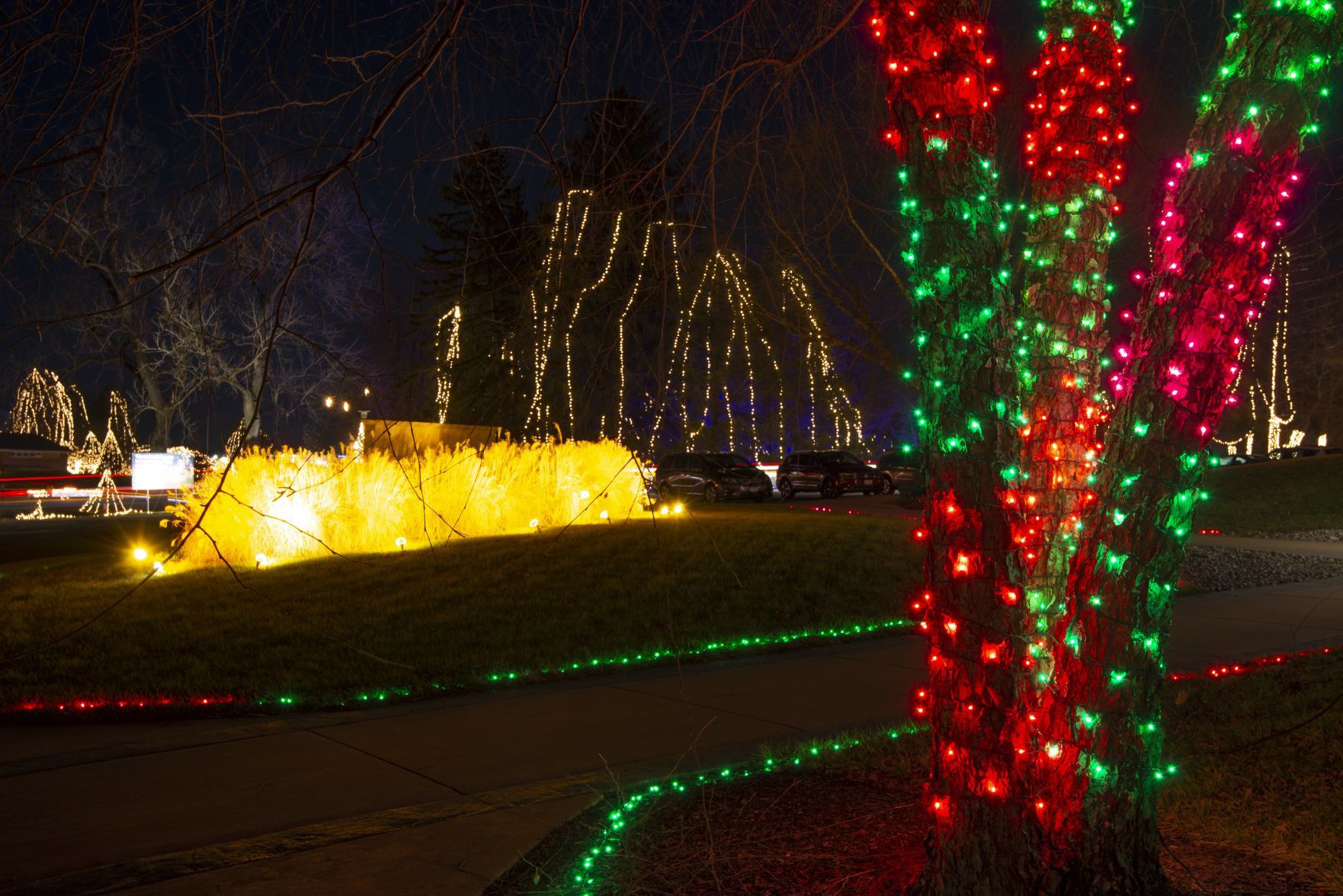 Way of Lights holiday light display at the National Shrine of Our Lady of the Snows